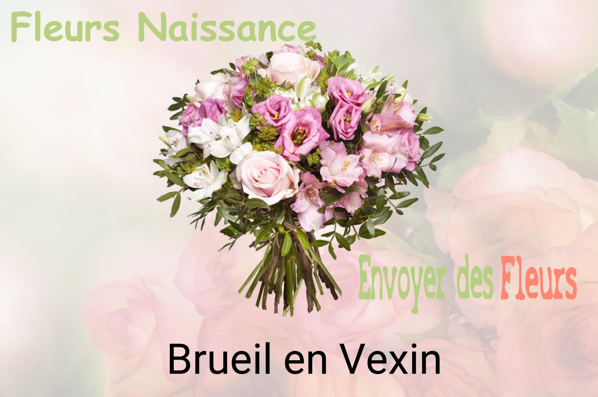 Bouquet de fleurs de naissance livré à Brueil-en-Vexin